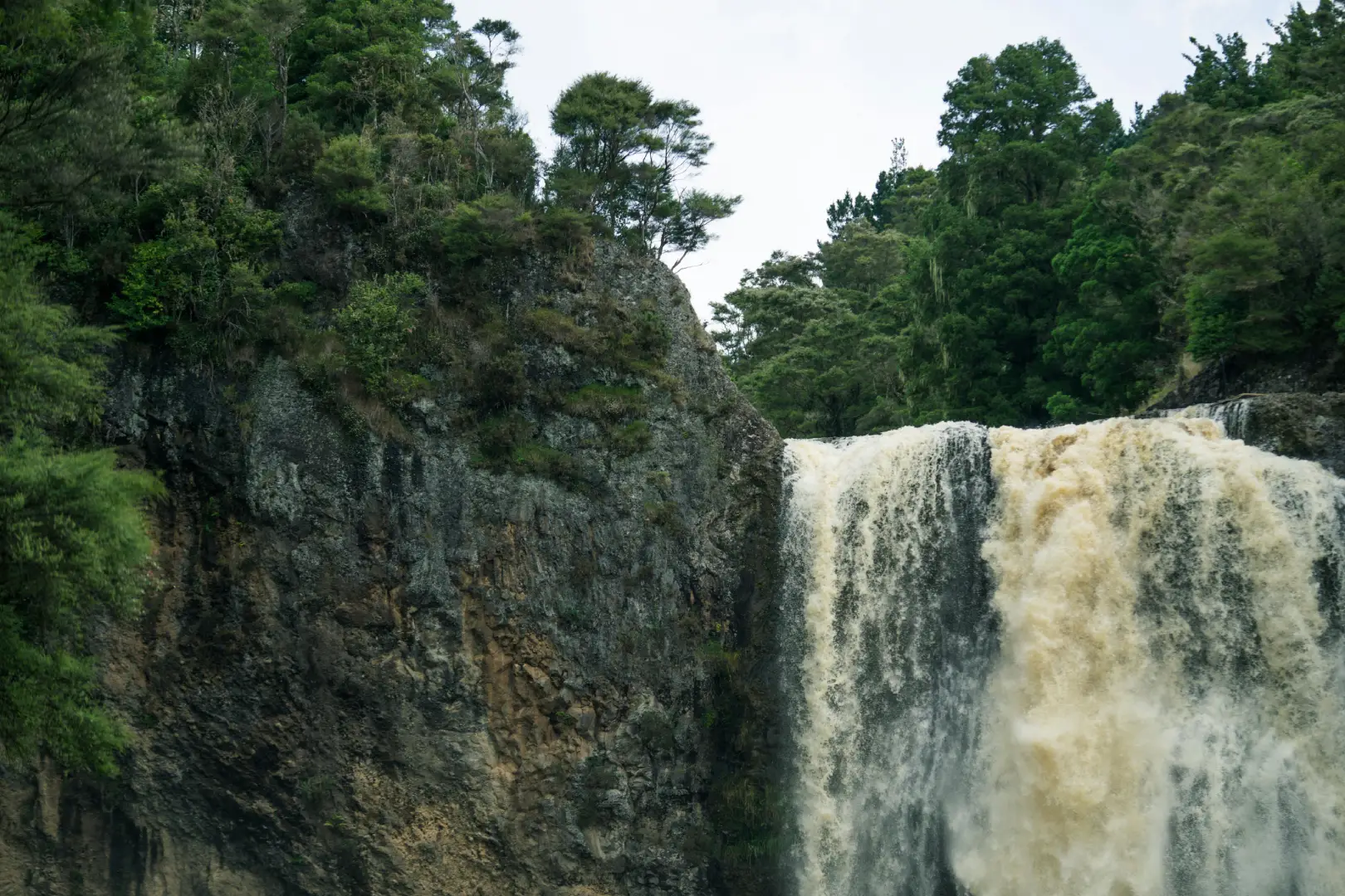 Study in New Zealand from Nepal