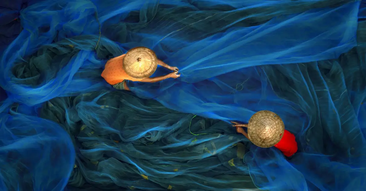 Why Study in Australia